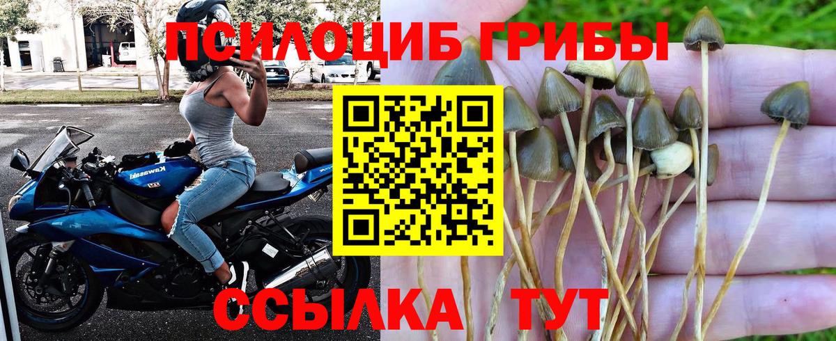 Псилоцибиновые грибы GOLDEN TEACHER  Вход с VPN  Новочеркасск 